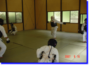 日本拳法　武道　空手　格闘技　総合格闘技　少林寺拳法　日本拳法先生　武道師範　日本拳法師範　柔道　合気道