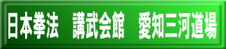 日本拳法　武道　空手　格闘技　総合格闘技　少林寺拳法　日本拳法先生　武道師範　日本拳法師範　柔道　合気道