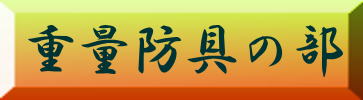 日本拳法　武道　空手　格闘技　総合格闘技　少林寺拳法　日本拳法先生　武道師範　日本拳法師範　柔道　合気道