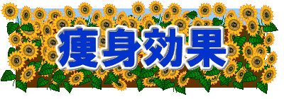 日本拳法　武道　空手　格闘技　総合格闘技　少林寺拳法　日本拳法先生　武道師範　日本拳法師範　柔道　合気道　日本拳法講武会館大学校　講武会館日本拳法学校