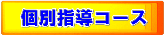 日本拳法　武道　空手　格闘技　総合格闘技　少林寺拳法　日本拳法先生　武道師範　日本拳法師範　柔道　合気道　日本拳法講武会館大学校　講武会館日本拳法学校