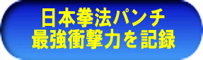 日本拳法　武道　空手　格闘技　総合格闘技　少林寺拳法　日本拳法先生　武道師範　日本拳法師範　柔道　合気道　日本拳法講武会館大学校　講武会館日本拳法学校