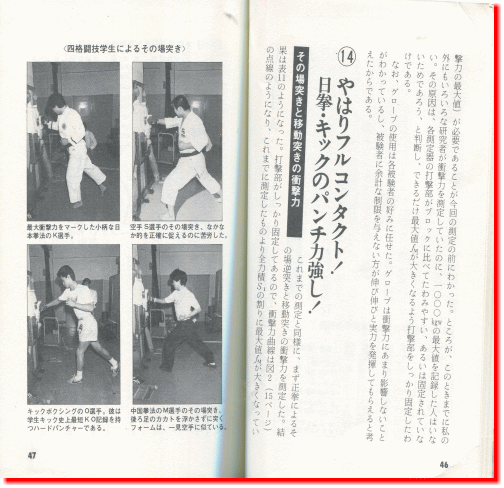 日本拳法　武道　空手　格闘技　総合格闘技　少林寺拳法　日本拳法先生　武道師範　日本拳法師範　柔道　合気道　日本拳法講武会館大学校　講武会館日本拳法学校