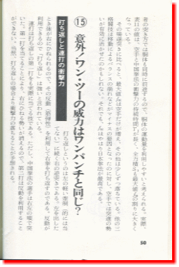 日本拳法　武道　空手　格闘技　総合格闘技　少林寺拳法　日本拳法先生　武道師範　日本拳法師範　柔道　合気道　日本拳法講武会館大学校　講武会館日本拳法学校