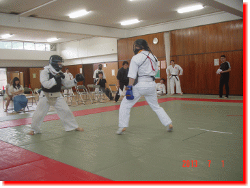 日本拳法　武道　空手　格闘技　総合格闘技　少林寺拳法　日本拳法先生　武道師範　日本拳法師範　柔道　合気道